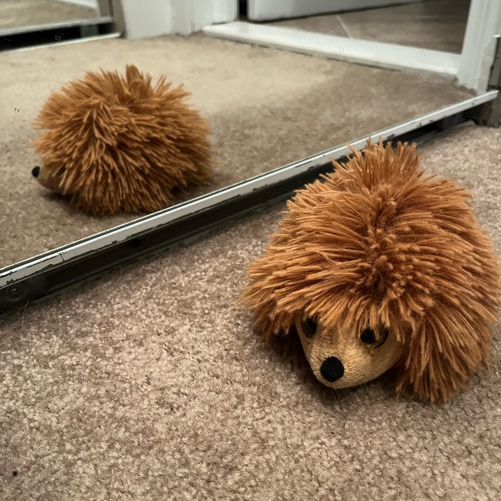 Hedgehog Beanie Boo Herbert